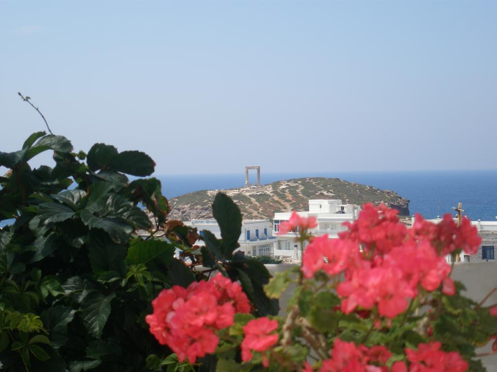 Chateau Zevgoli Naxos City Exteriér fotografie